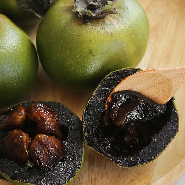 Black Sapote (Diospyros Nigra) - Grafted - LIVE PLANT